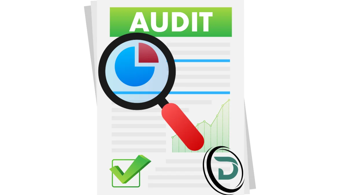 seo audit digitaliner